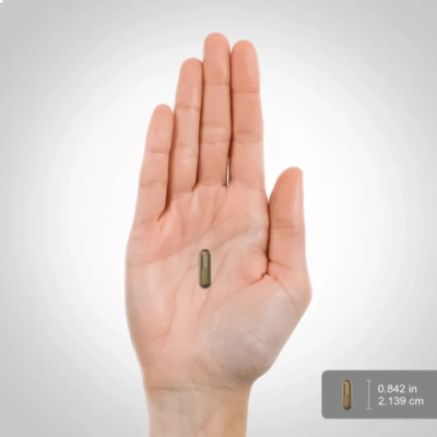 Liver Care Limpeza De Fígado, 90 Cápsulas, Piping Rock