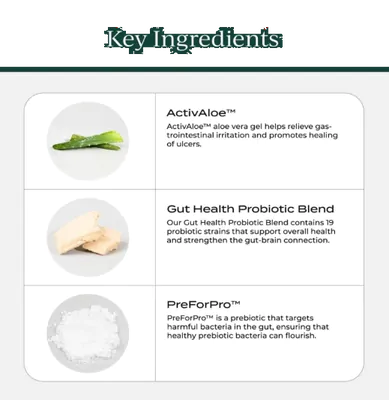 Probiótico + Prebiótico, Saúde intestinal e Saúde Digestiva, 90 Cápsulas, Cymbiotika