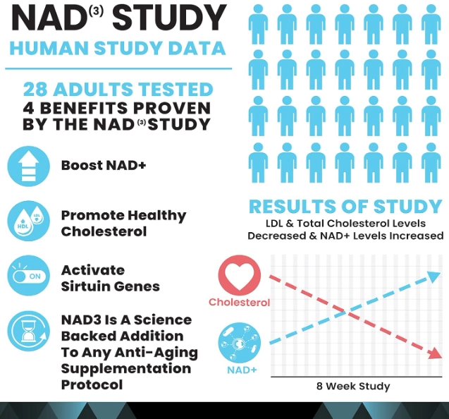 NAD Nicotinamide Riboside, 312mg, 120 Cápsulas, High Performance Nutrition