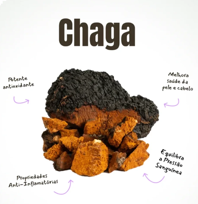 Health Booster, Cogumelo Chaga Mushdrops, 30ml, MushMush