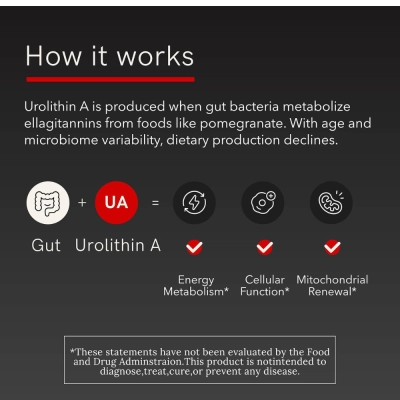 Urolitina A, Metabolismo Energético e Saúde Celular, 700mg, 90 Cápsulas, Zaboratory