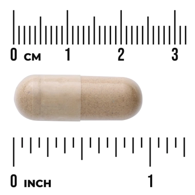 Suplemento de Tribulus Fruit 500mg, Energia e Vitalidade, 90 Cápsulas, Swanson