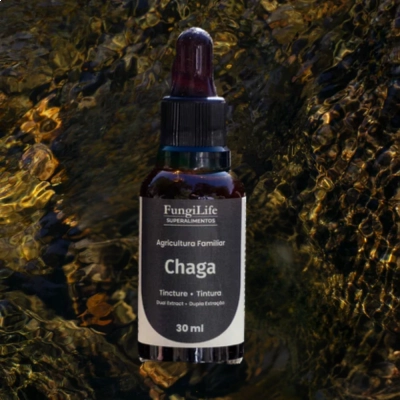 Extrato Líquido Cogumelo Chaga, 30ml - Microdose Life