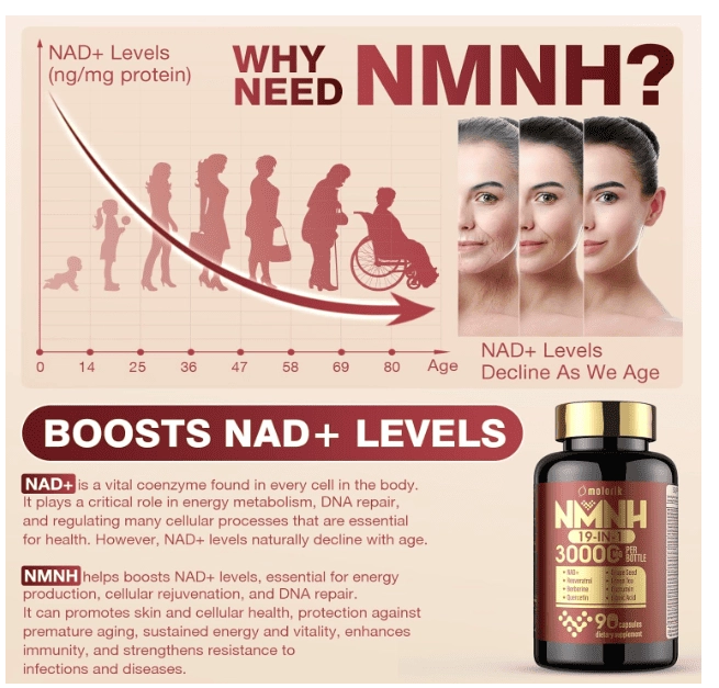 NMNH 3000mg, 19 em 1 com NAD Boost NAD+, Quercetina e Berberina, 90 Cápsulas, Molorik