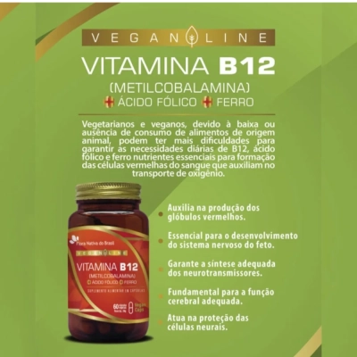 Vegan  Vitamina B12 + Ácido Fólico + Ferro, 60 Cápsulas, Flora Nativa