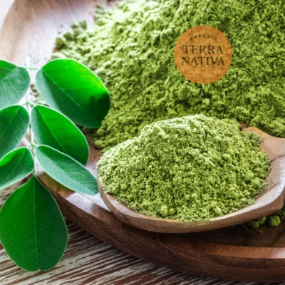 Moringa Oleífera, 100% Pura, 500mg, 120 Cápsulas, Terra Nativa