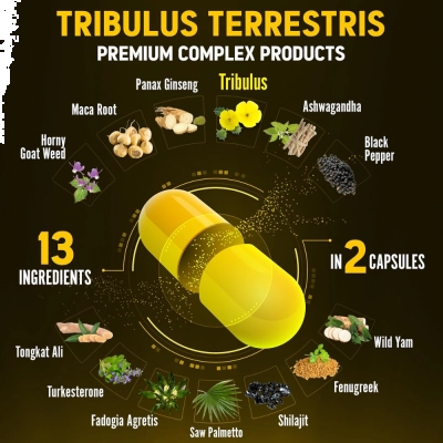 Tribulus 13 em 1, Força, Energia e Performance no Treino, Suporte Hormonal, 120 Cápsulas, Zolotus