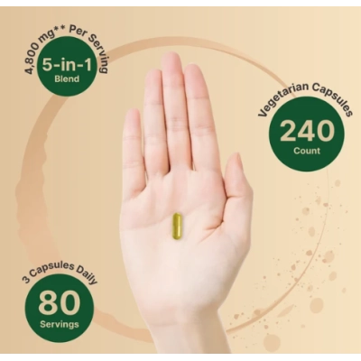 Berberina 4800mg com Complexo de Canela do Ceilão, 240 cápsulas, NatureBell