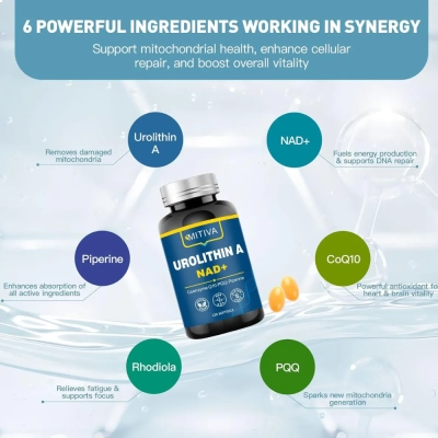 Urolithin A Nad+, 1000mg, 120 Cápsulas, Mitiva