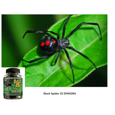 Termogênico Black Spider Fat Burner, Queimador de Gordura, 100 Cápsulas, Cloma Pharma