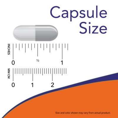 Phase 2 (Extrato de Feijão Branco), 500mg, 120 Cápsulas, Now