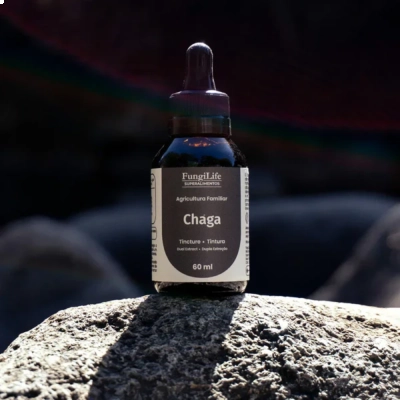 Extrato Líquido Cogumelo Funcionais, Tipos, 60ml, Microdose Life