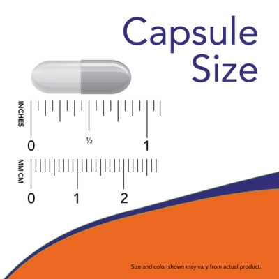 Horse Chestnut 300 mg, 90 Cápsulas, Now