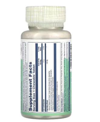 Super Papaya-Plex, Hortelã Fresca Natural, 90 Mastigáveis, Solaray