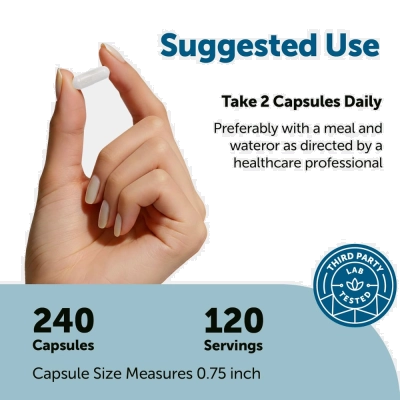 DHEA, 50mg, Equilíbrio Hormonal e Vitalidade, 240 Cápsulas, Micro Ingredients