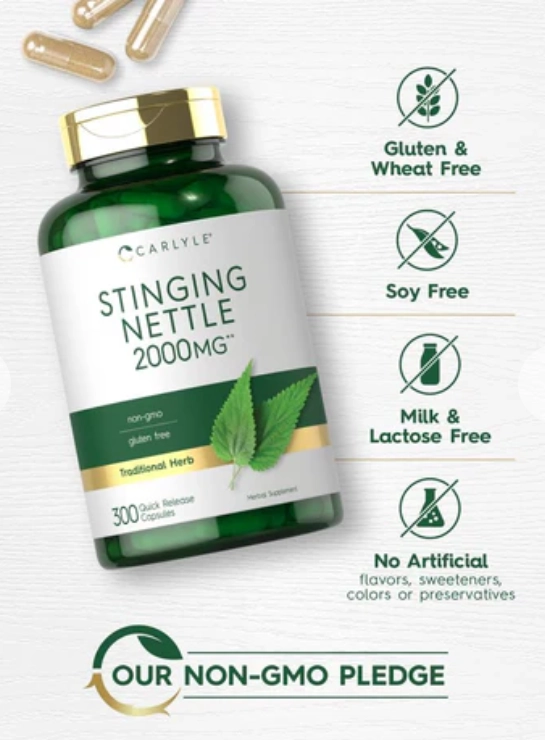 Stinging Nettle Leaf Extract, Folha de Urtiga 2000mg, 300 Cápsulas, Carlyle