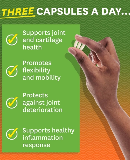 Joint Support, Glucosamina, Condroitina, MSM e Ácido Hialurônico, 180 Comprimidos, Zenwise