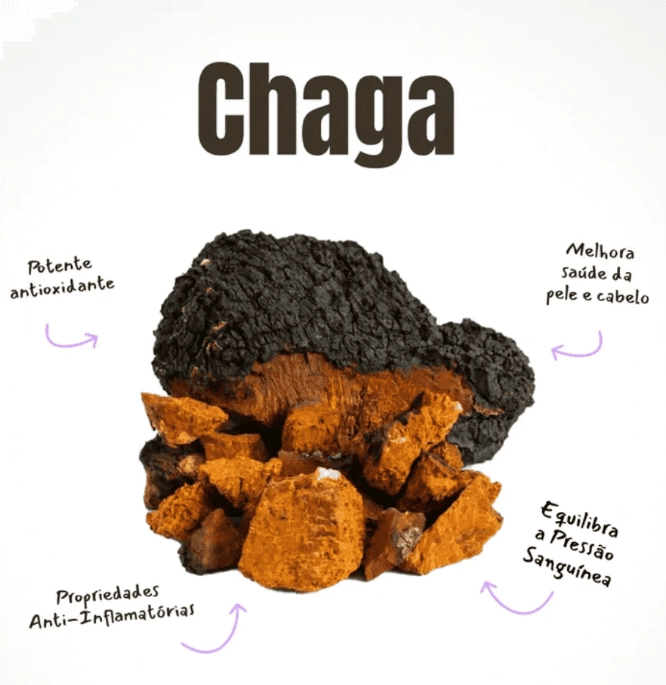 Health Booster, Cogumelo Chaga Mushdrops, 30ml, MushMush