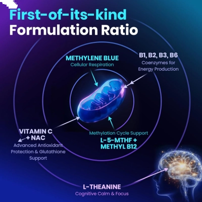 Methylene Blue, L-5-MTFH, B12 NAC,L-Theanine, 60 Cápsulas, Megneta