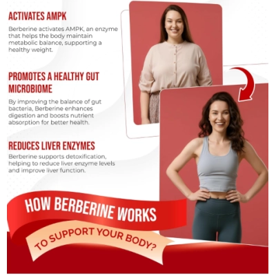 Berberina 8 em 1 com Canela do Ceilão, Cardo Mariano, Açafrão e Moreia Bitter, 150 Cápsula, Aumeto