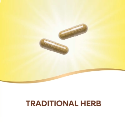 Folha de Alecrim, 700mg, 100 Cápsulas, Nature's Way