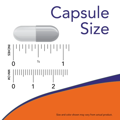 Magtein (Magnesium L- Threonate), 90 Cápsulas, Now